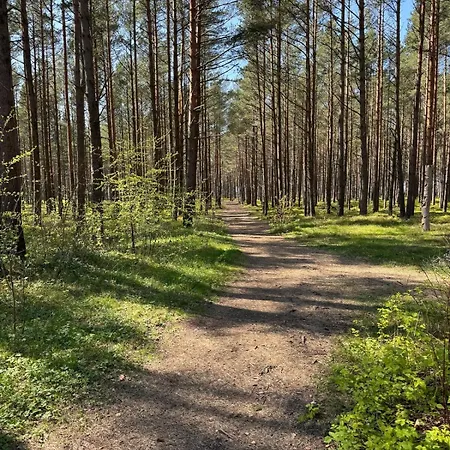 White Pearl Apartment Palanga