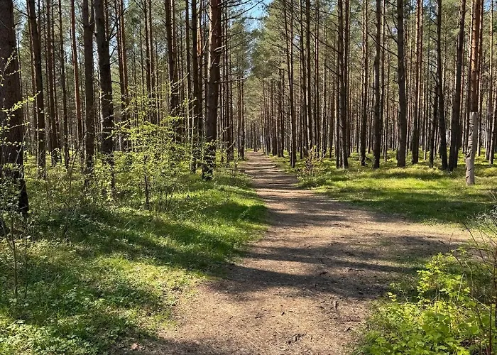 White Pearl דירה פלאנגה